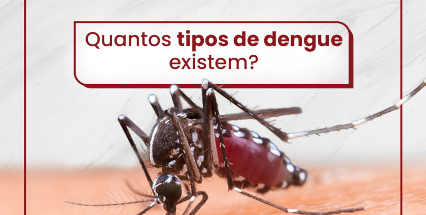 Quantos tipos de dengue existem?